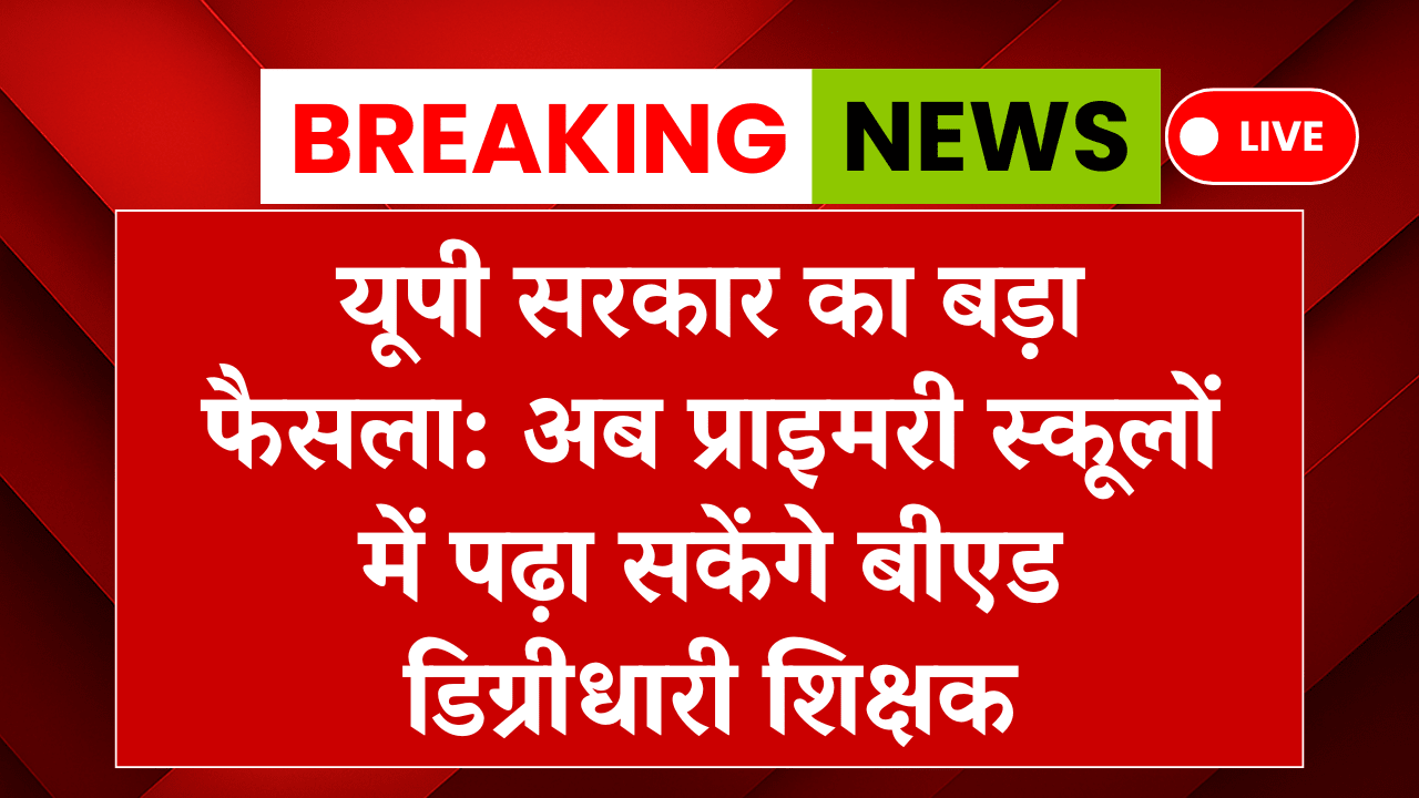 BED Good News 2025